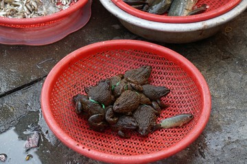 colorful food market in hue