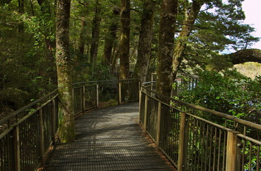 Boardwalk at Mirror Lakes in Fiordland National Park in Southland on South Island of New Zealand

