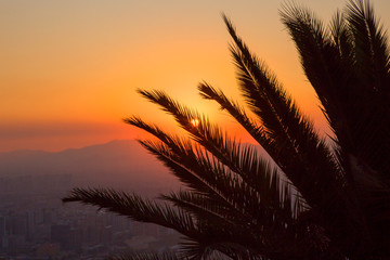 Santiago. Chile. Sunset on San Cristobal hill.
 The hour of sunset, when the sun gently caresses the city with its rays.