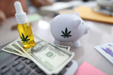Close-up of white piggy bank with marijuana sign, cannabinoid oil in bottle with pipette. Cash on...