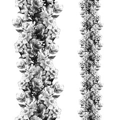 Seamless ribbon border made of sakura flowers, apple trees. Vertical border. Hand drawing pencil sketch. Black and white drawing. Design for packaging, adhesive tape, fabric, fabric, paper, frame.