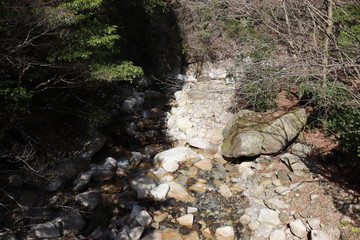 日本　竜ヶ岳　山　景色