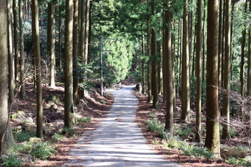 日本　竜ヶ岳　山　景色