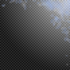 Light blue flower petals falling down. Charming ro