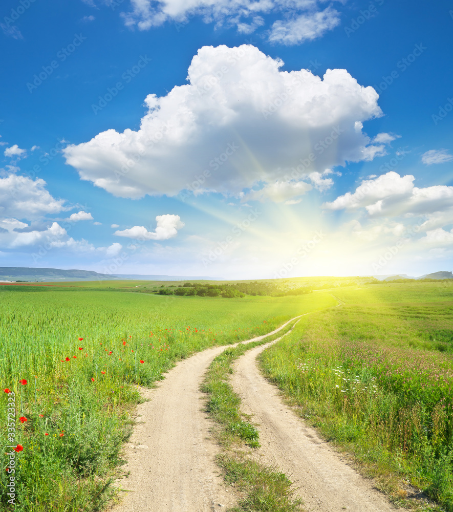 Wall mural road lane and deep blue sky.