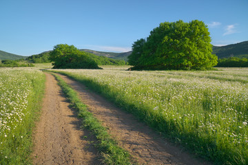 Obraz premium Road lane and deep blue sky.