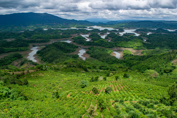 Naklejka na ściany i meble landscape tea plantation and river bao loc vietnam asia