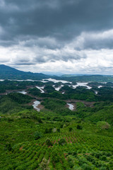 landscape tea plantation and river bao loc vietnam asia