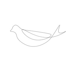Bird silhouette line drawing on white background. Vector illustration