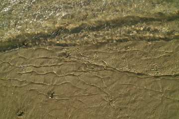 Soft focus of the waves beat at the beach with shell fragments with sunlight in summer time. Nature background concept.