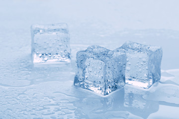 several melted ice cubes with drops on a light background with blue tinting