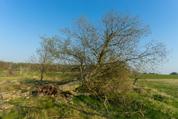 Landschaft im Fr&uuml;hling