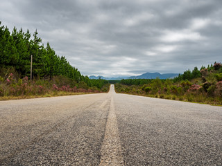 Wild Africa Straight Road with an open end of destination