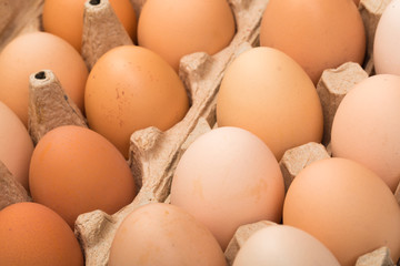  chicken eggs in an open cardboard box with eggs. Fresh chicken eggs background. close-up