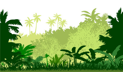 Jungle silhouette vector. Dense thickets and lush grass. Bright sunny day. Trees, shrubs and summer greens. Palm trees. Tropical landscape on the outskirts of the forest. Background picture. © WebPAINTER-Std