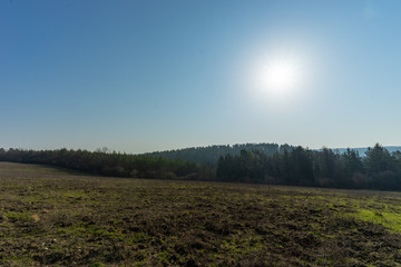 Fototapeta na wymiar Landschaft im Frühling
