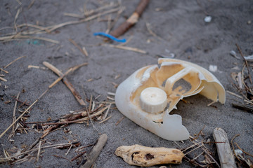 漂着したプラスチックゴミの残骸 Wreckage of plastic garbage that has landed