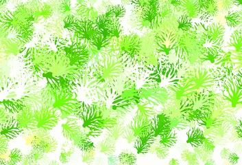 Light Green vector abstract backdrop with leaves.