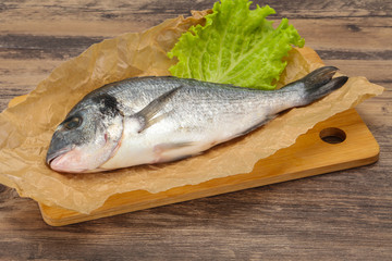 Raw Dorada fish  for cooking