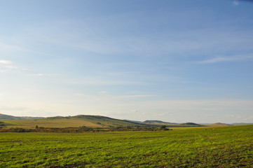 Fototapeta premium Soft landsсape with yellow meadows and forests far away. Light blue sky. Fall fields 