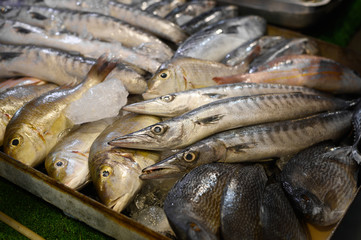 The fresh fish on ice in the seafood market in the night street food Thailand.