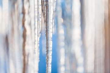 Icicles hanging down in wintertime