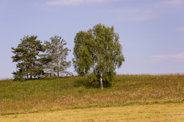 Soft landsсape with yellow meadows and forests far away. Light blue sky. Fall fields 