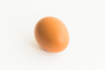 the single egg on the isolated background