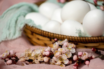 Obraz na płótnie Canvas White eggs in a wicker basket decorated with a flowering twig. eggs on a pink background