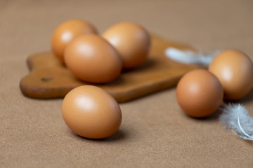 Fresh natural chicken eggs on a wooden stick. Farm brown eggs. On a background of brown fabric