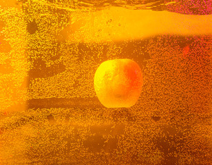 Pretty fruits shot underwater