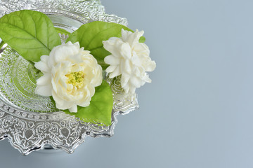 Obraz na płótnie Canvas Thai jasmine white flower on gray background.