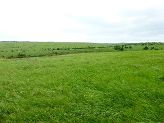 View of the Green field to the horizon