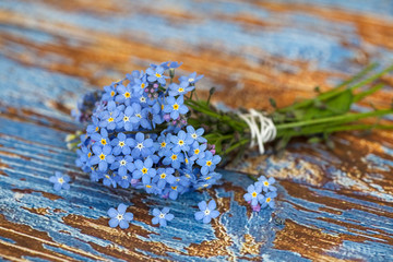Blue Forget Me Not Flowers On Wood © Sunnydays