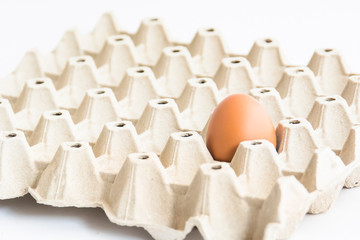 single egg on a panel with isolated background