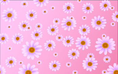 Pink flower on pastel pink background