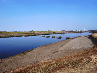 Fototapeta premium 春の江戸川風景