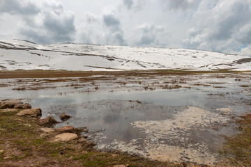 Varto - Mus City / Turkey. Messengers of spring, Snowdrops and Purple Irıs in Hamurpet Lake, Varto - Mus.