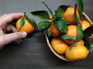 Orange ripe tangerines with green leaves in a wicker basket on a dark background, a female hand holds one tangerine