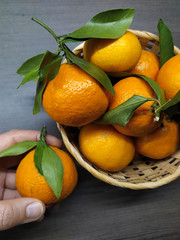 Orange ripe tangerines with green leaves in a wicker basket on a dark background, a female hand holds one tangerine