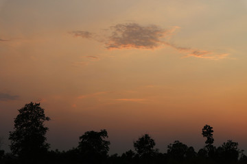       colorful sky and sunset for background.