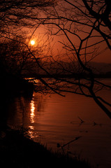 Naklejka premium 夕焼けの水面と草木