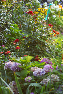 Beautiful view of the perennial border with lots of different flowering plants in in the Cottage garden