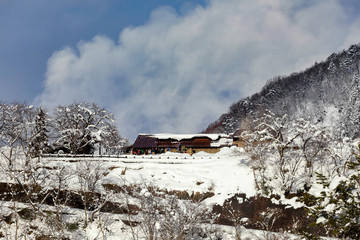 Snow at shirakawago.a UNESCO world heritage site in 1995, Japan.