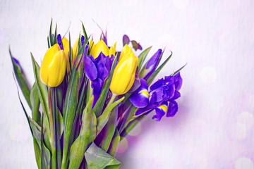Beautiful bouquet of yellow tulips and blue irises on a light background. Floral background, spring card with yellow and blue flowers, copy space, bokeh effect