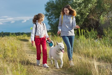 Girls walking with dog, sisters with white husky pet on summer meadow