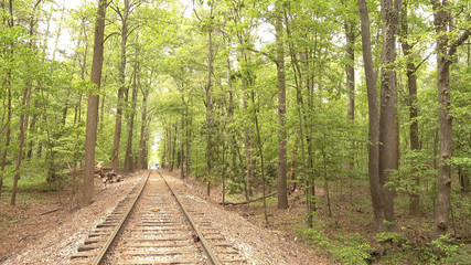 Railway tracks through the forest of Stone Mountain