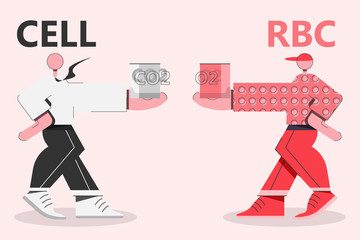 Red blood cell, man in red outfit, exchanging oxygen with carbon dioxide from normal cell, man in white shirt.
Concept science vector with minimal character design.