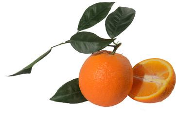 Orange on a branch with leaves with a half cut orange isolated on a white background