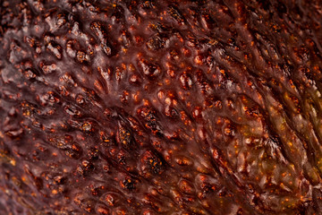 Simple ripe fresh avocado fruit skin background texture, macro, rough brown green dark surface...